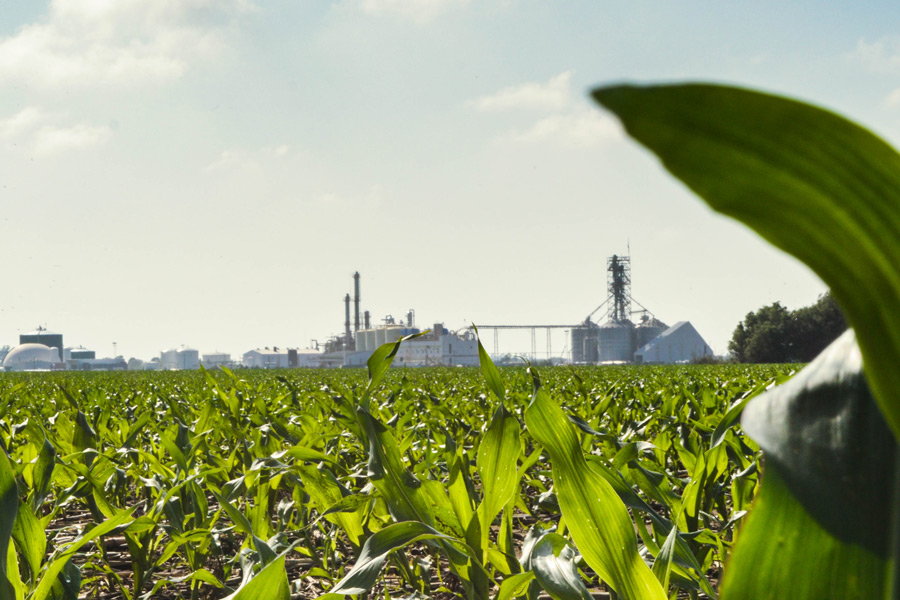 Bioethanol & Biogas