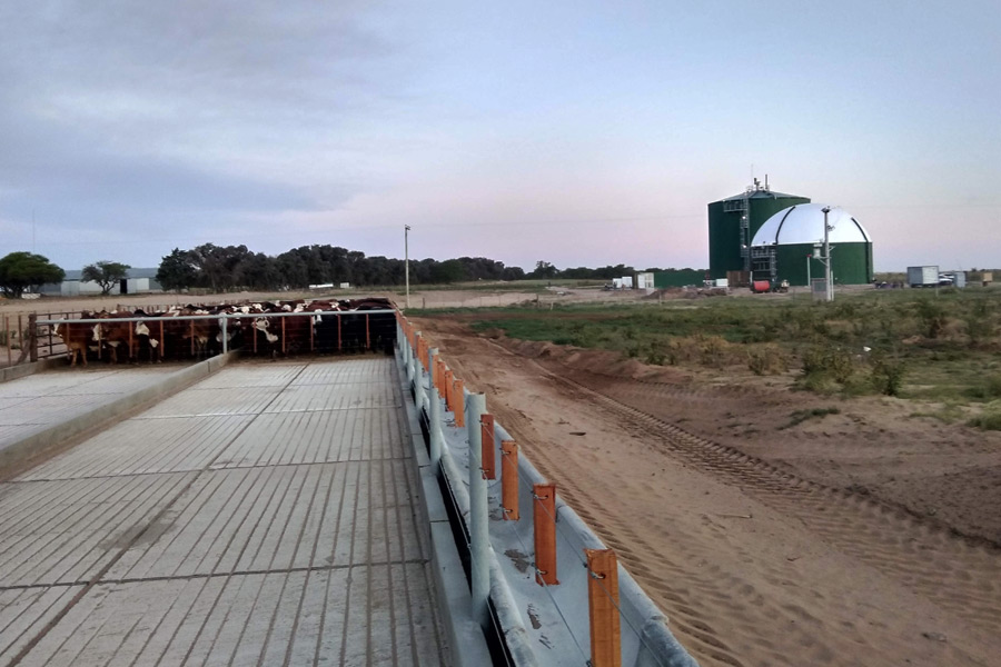 Industrial Biogas